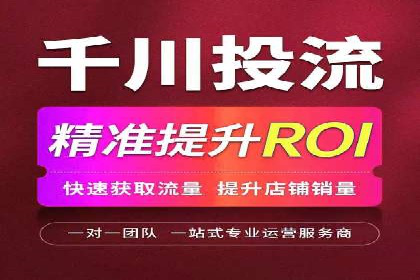SEM推广技巧：成功案例深度剖析